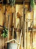 Garden Tools Hanging in Shed Fork  Shears  Rake  Lopper  Axe  Saw & Gardening Gloves