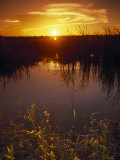 Everglades National Park  FL
