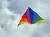 Colorful Delta Kite