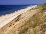 Beach  Cape Cod  MA