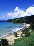 Bloody Bay  Tobago  Caribbean
