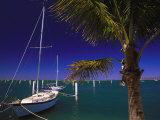 Marina De La Paz  Baja California  Mexico