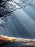 Road on a Misty Morning  Blue Ridge Parkway  NC