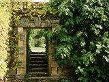 Arch Way in Ornamental Stone Wall with Fig & Vitis
