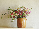Summer Arrangement of Wild Flowers in Glazed Jar Against Whitewashed Wall