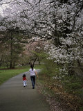Mother and Child Walking Through Park