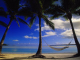 Palms and Hammock  Aitutaki  Cook Islands