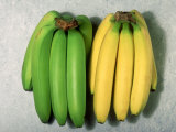 Green and Ripe Bananas