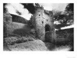 Carisbrooke Castle  Isle of Wight  England