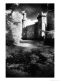 Charleville Forest  County Offaly  Ireland
