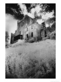 Leap Castle  County Offaly  Ireland