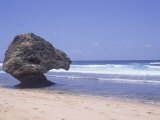 Lion Rock  Atlantic Ocean  Barbados