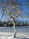 Winter Scenic  Michigan