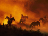 Herd of Horses and Cowboys