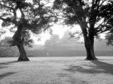Sunrise Over Kumamoto-Jo Castle