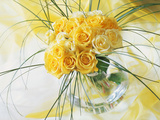 Yellow Tea Rosa in Glass Vase