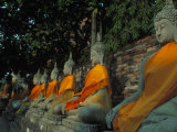Buddhas  Wat Yai Chai Mongkhon  Ayuthaya  Thailand