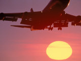 Airplane in Flight During Sunrise  Sunset