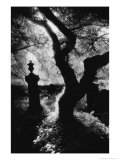 Graveyard  Nevern  Pembrokeshire  Wales