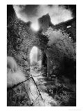 Arch  Ballynalackan Castle  County Clare  Ireland