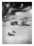 Rathpeak House  County Roscommon  Ireland