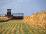 Combine in Field