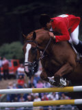 Horse Jumping  San Francisco  CA