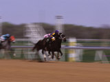 Jockey on Horse in Race