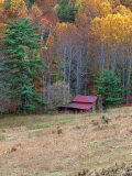 Cabin in Late Autumn in West Virginia
