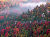Blackwater Canyon  Wv