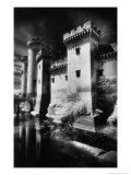 Tarascon Chateau  Provence  France