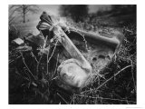 Broken Frieze  the Gardens  Plas Teg  Clwyd  Wales