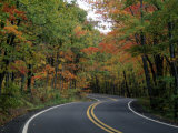 Empty Road Surrounded by Fall Foliage  Upper Mi