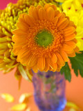 Gerbera  Close-up of an Orange Flower in a Glass Vase