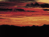 Sonoran Desert  Near Tucson  Arizona