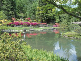Japanese Garden  WAshington Park Arboretum  WA