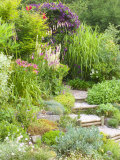 Gravel and Wood Steps Leading up Through Informal Summer Border
