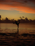 Woman Doing Yoga in Water at Sunset  Tahiti