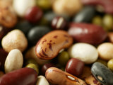 Dried Beans Including Red Kidney  Pinto  Mung  Black Turtle  Aduki and Haricot Beans