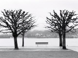 Along Lake Lucerne  Lucerne  Switzerland