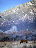 Nm  Taos  Sangre De Christo Mountains
