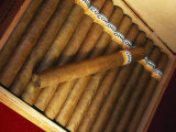 Cuban Cigars  Havana  Cuba