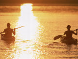 Silhouetted Sea Kayakers