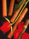 Cigars withRed Rose and Petals
