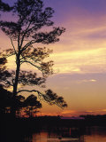 Cotton Bayou at Sunset