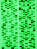 DNA Sequence  a Non- Photosynthetic Algae