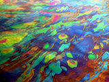 Oil on Water Rainbow Effect Caused by Varying Thickness of Oil Film on Water  Defracts Light