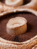 Chestnut Mushrooms