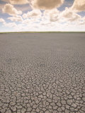 Parched Earth  Etosha National Park  Namibia
