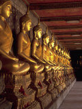 Golden Buddhas  Bangkok  Thailand